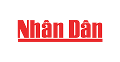 Đối tác 3